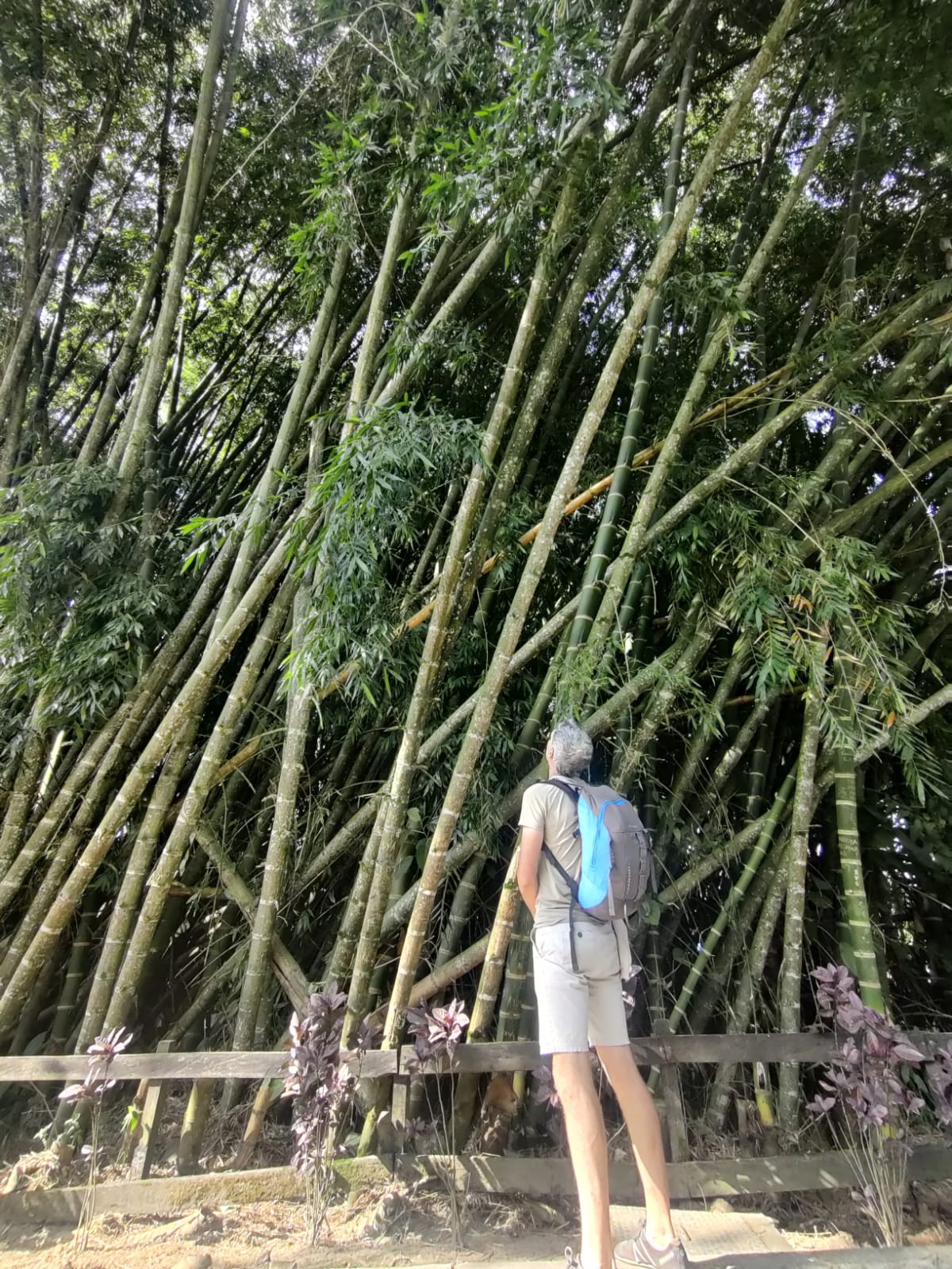 Sustainability On The Road