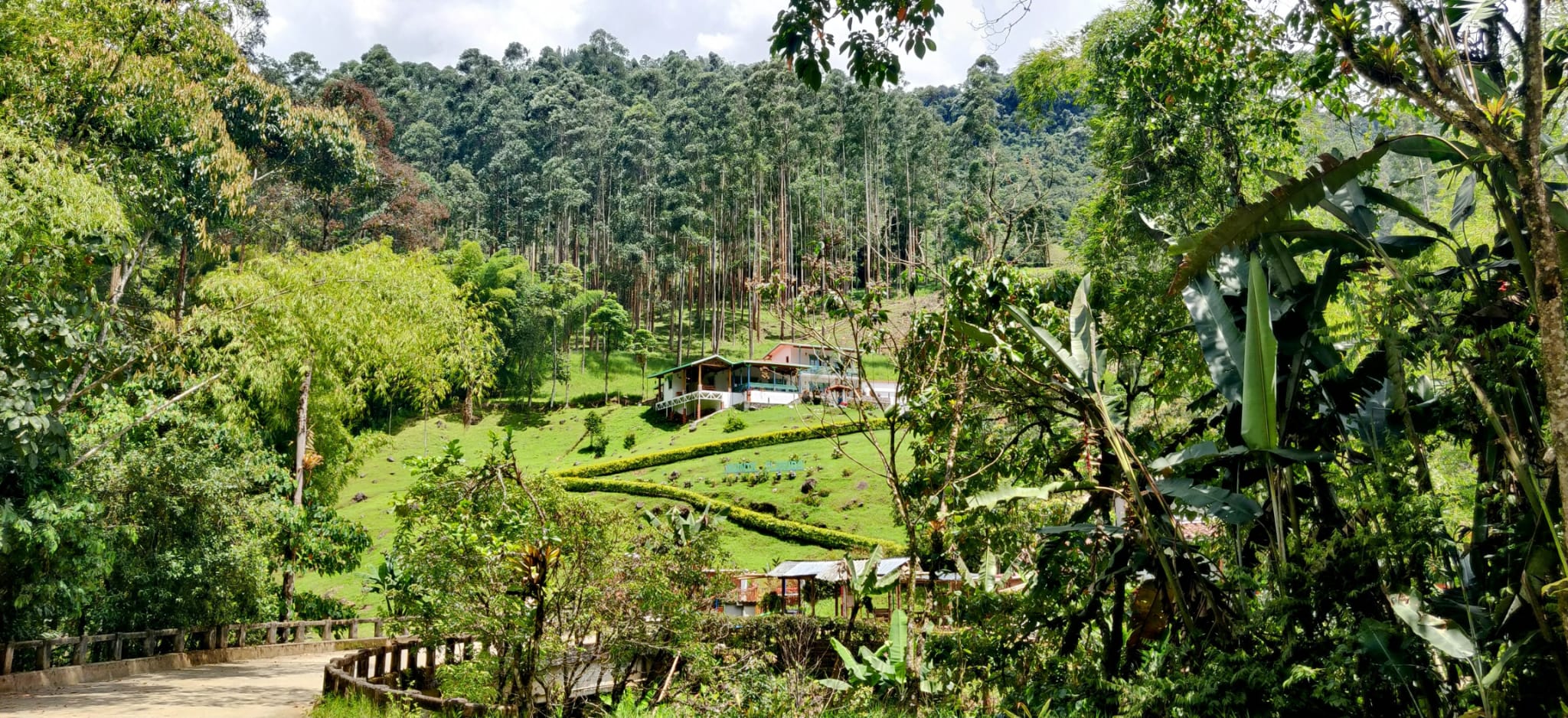 Medellín, Jardín & Guatapé